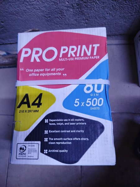 Papier A4 Pro Print 80g