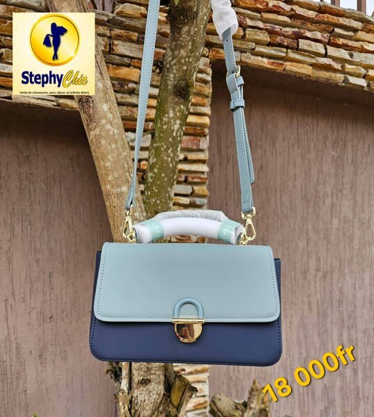 Sac à main élégant femme