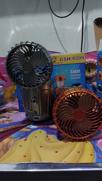 Solar light with fan