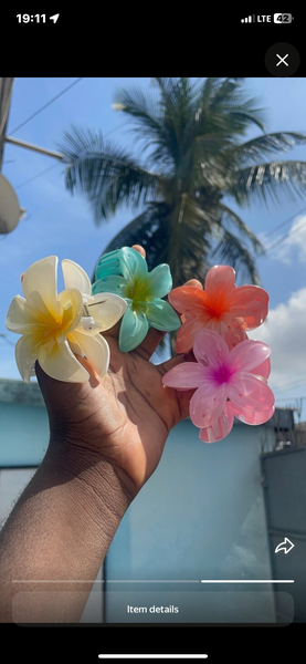 Colorful Flower Hair Clips
