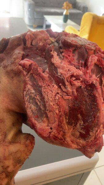 Viande de Bœuf et porc