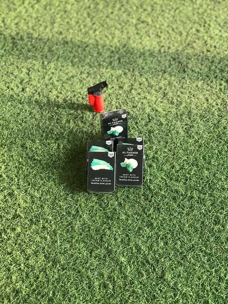 Mint with Gum flavour