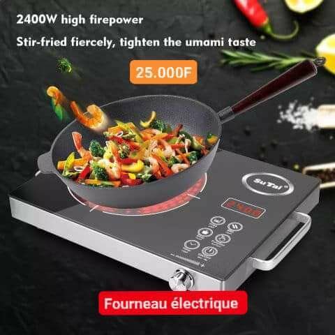 Fourneau électronique 