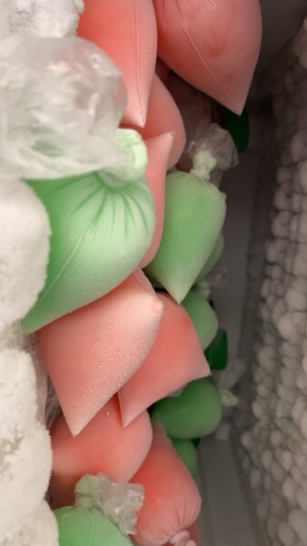 10Glaces colorées aux fruits