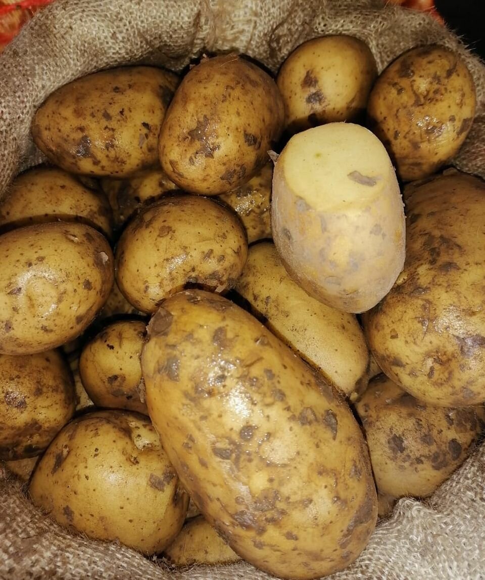 Pommes de Terre Fraîches