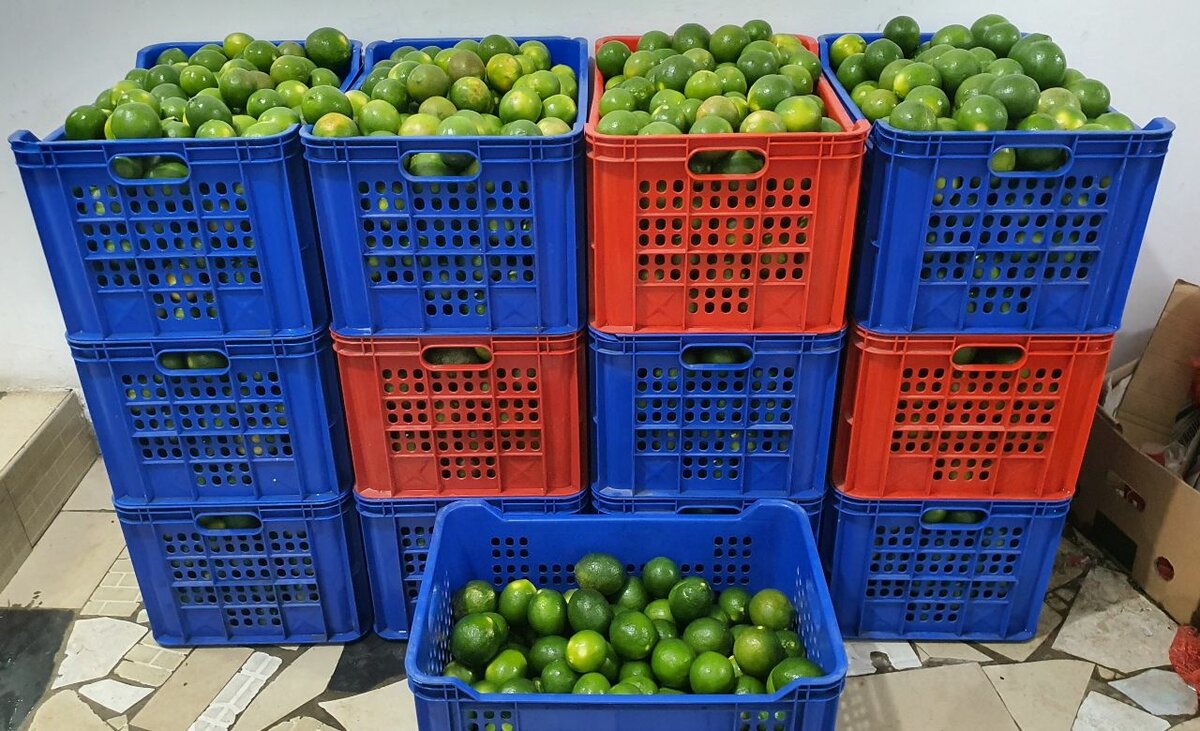 Citrons Meyer(par kg)