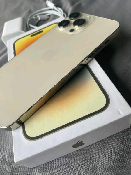 iPhone 14 Pro Max 256 Go