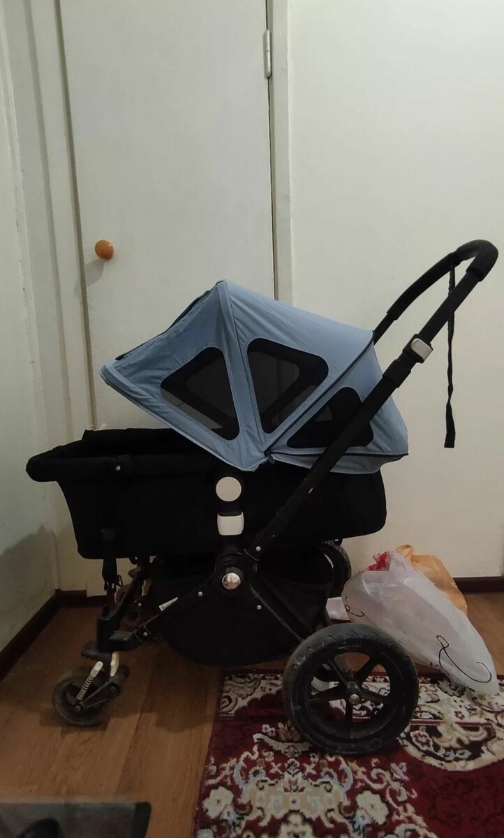 Bugaboo cameleon