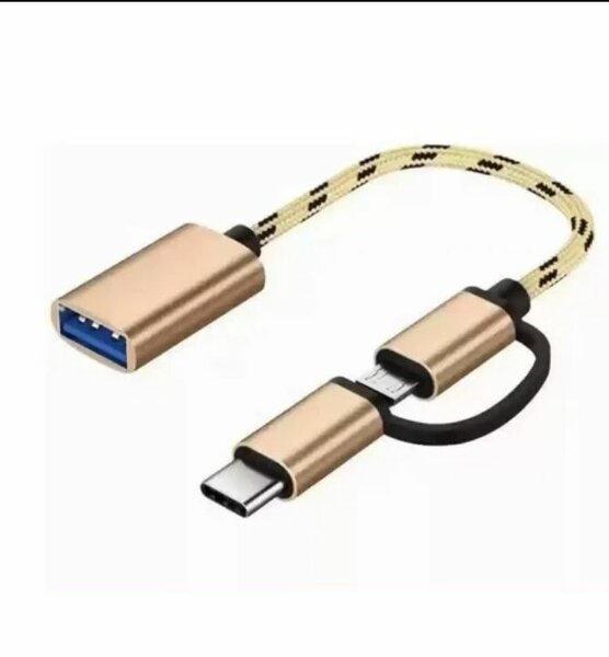 Adaptateur OTG 2 en 1 USB-C et Micro USB
