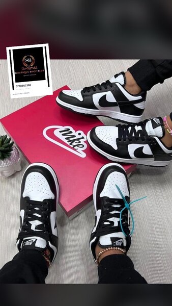 Basket NIKE sb authentique avec sa boîte