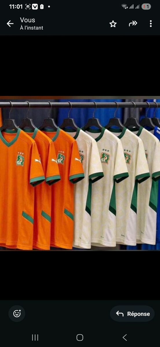 Maillot Côte d'Ivoire Puma
