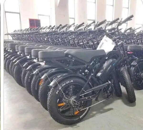 Vélo Électrique Tout Terrain - Noir