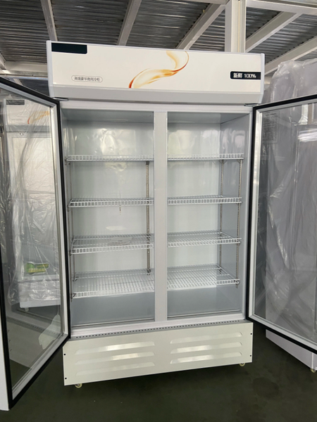 Display Freezer