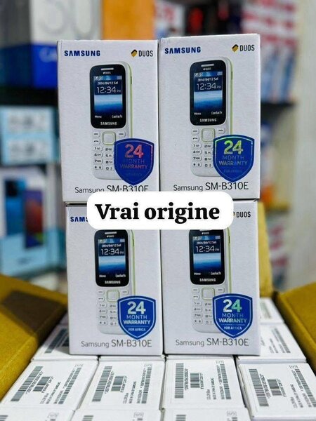 SAMSUNG B31(dans carton