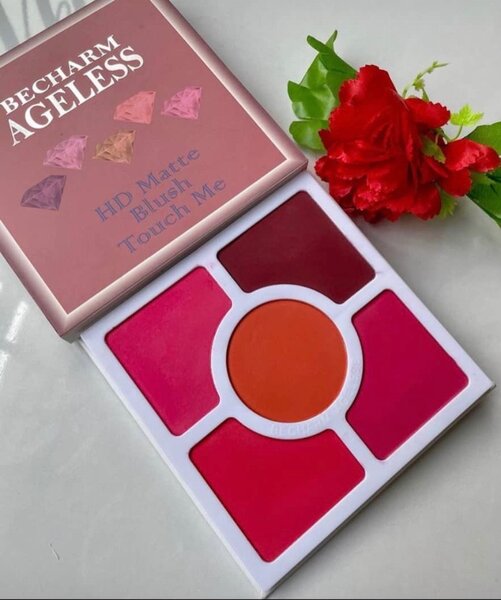 Bluche pro pour vos make up