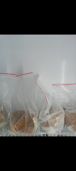 Sauces gouagouassou au boeuf