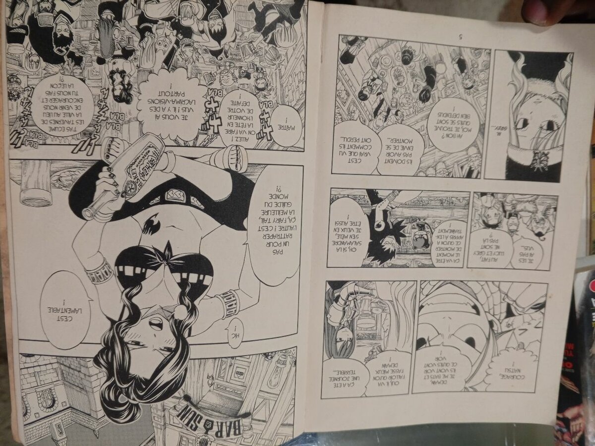 Manga Fairy Tail Tome 33