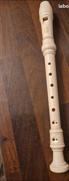 Flûte à bec soprano en plastique