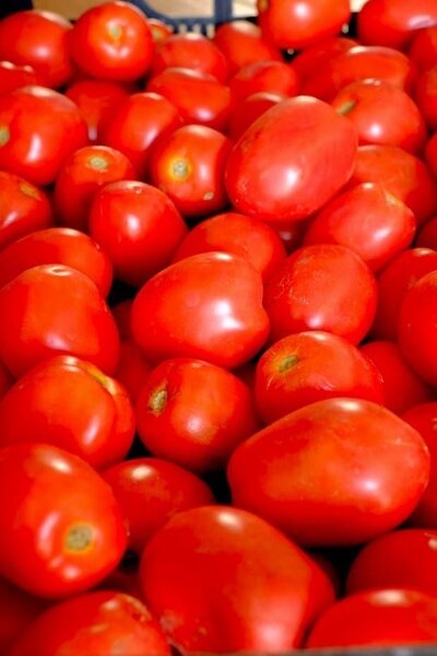 Tomate