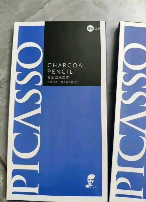 Crayon Charbon PICASSO pour dessin