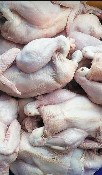Poulet frais entier