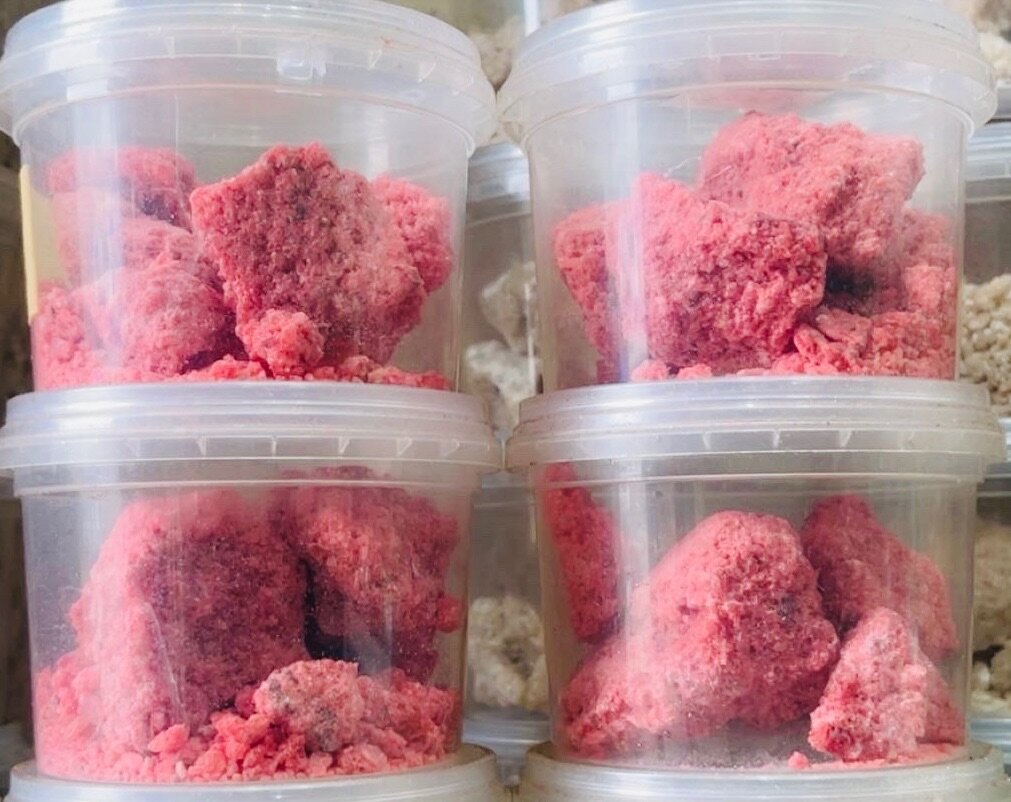 Benjoin rouge ou djaoui rouge