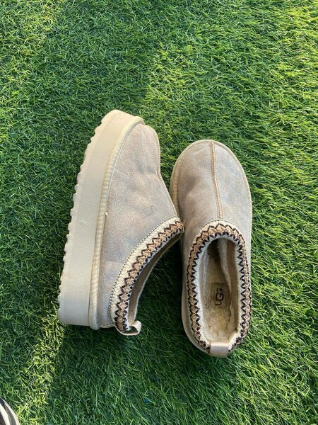 UGGs tazz