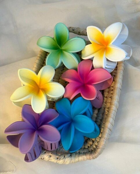 Pinces à cheveux fleurs colorées