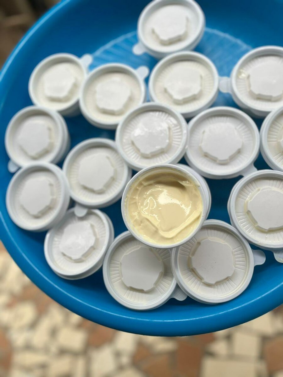 Croquettes et yaourt savoureux