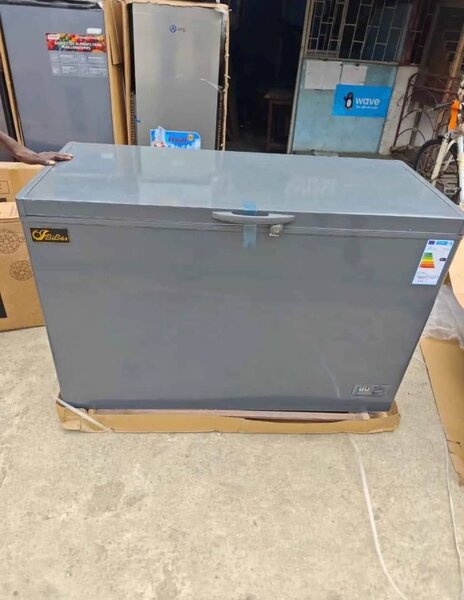 Congélateur Coffre Grande Capacité