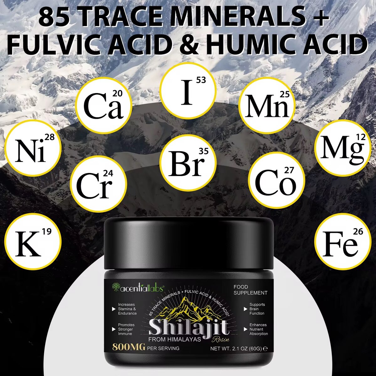 Résine de Shilajit Himalayan Pure
