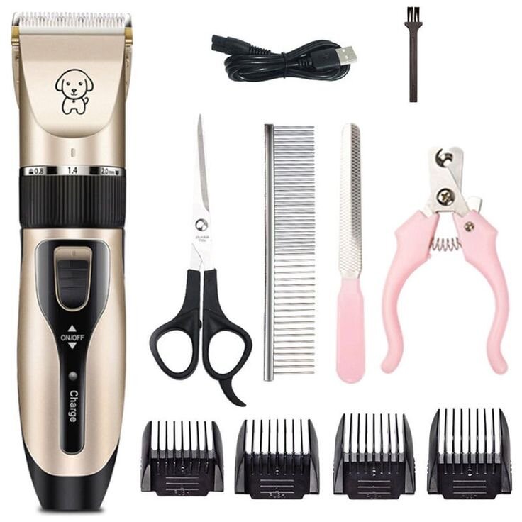 Tondeuse Électrique pour Animaux