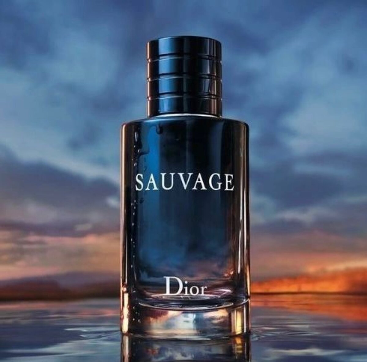 Sauvage Dior Perfume