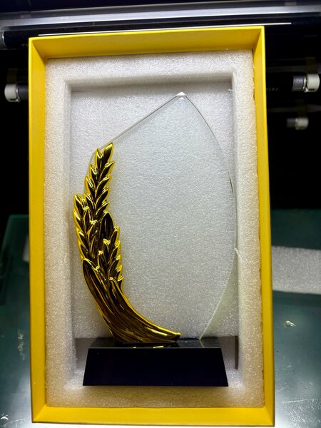 Trophée en verre personnalisé