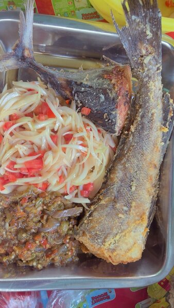 Plateau de poisson frit et nouilles