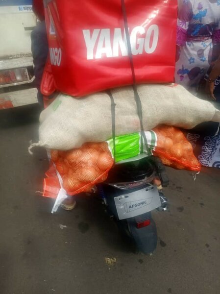 Oignons frais en gros sac