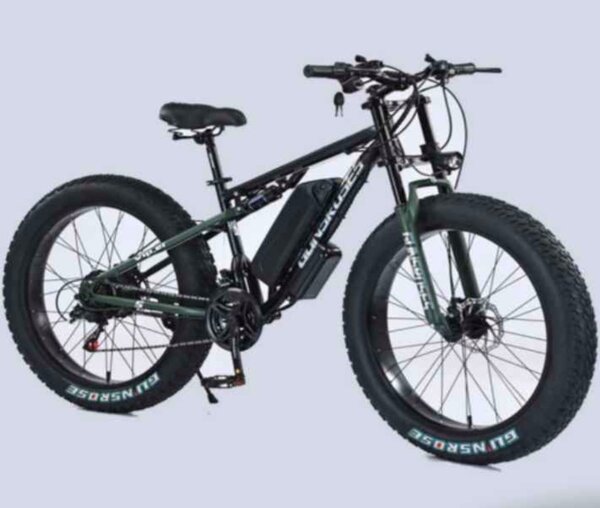 Vélo Électrique Tout-Terrain - Double Batterie