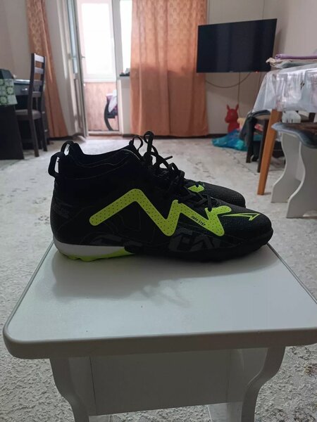 Сороконожки