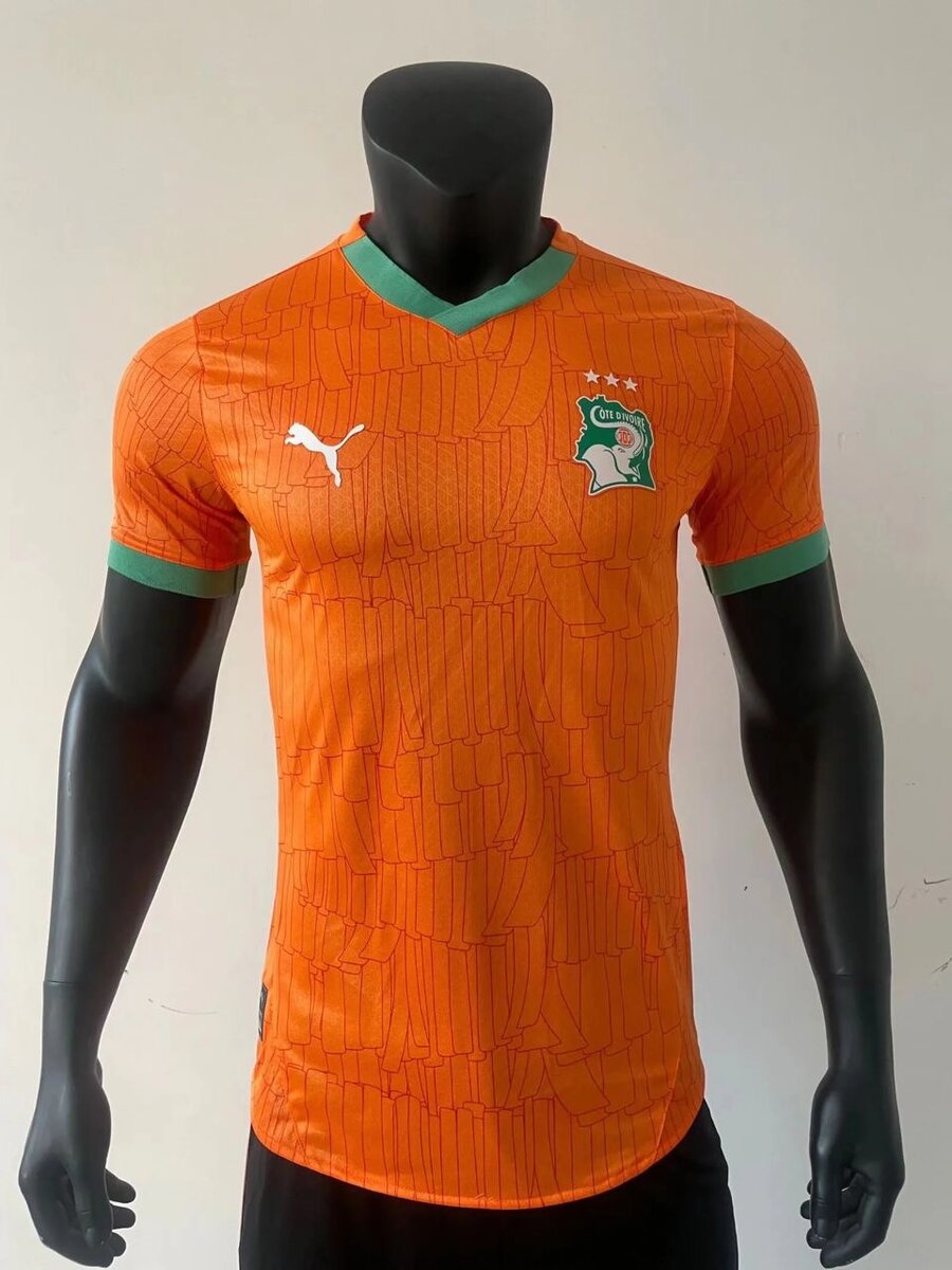 Maillot Côte d'Ivoire Puma