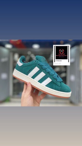 Basket adidas campus authentique avec sa boîte