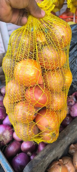 Oignons jaunes frais en filet