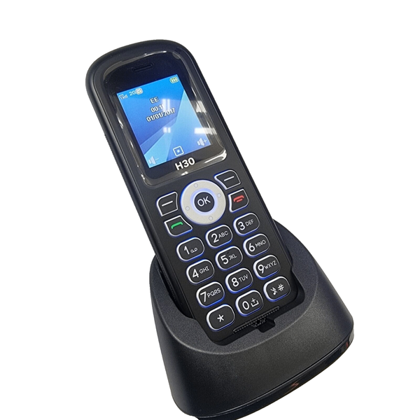 Téléphone fixe sans fil H30