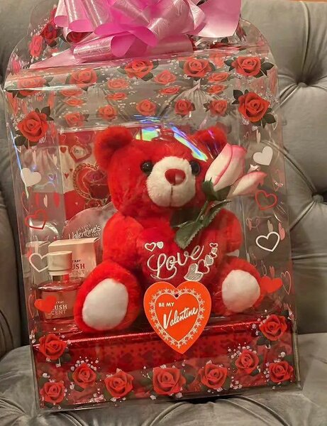 Cadeau Saint-Valentin Ours en Peluche Rouge