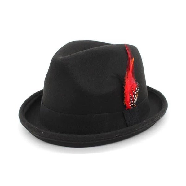 Chapeau Fedora avec plume