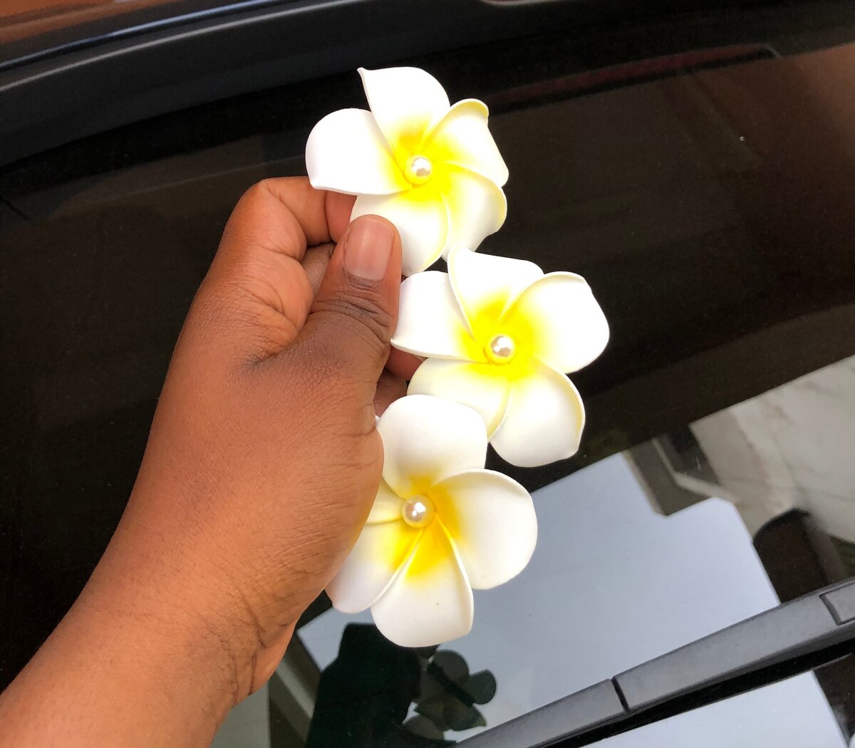 Fleurs de Plumeria Décoratives