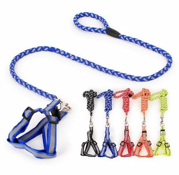 Harnais et laisse pour chiens