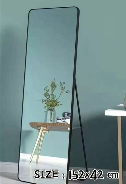 Long Standing Mirror