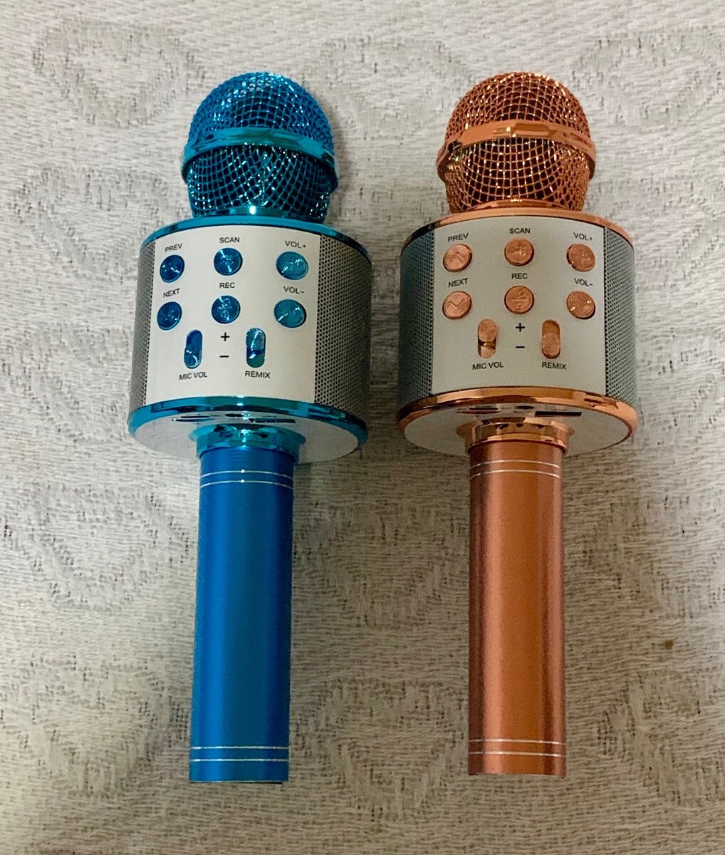Kids karaoke microphone