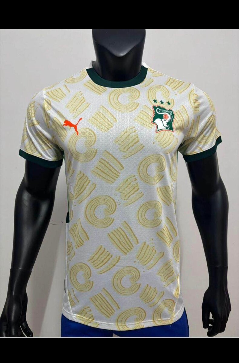Maillot Puma Équipe de Football
