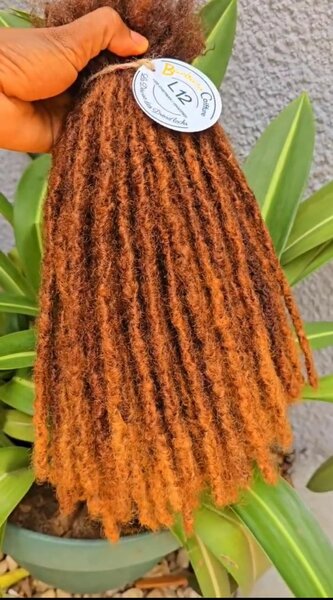 Extensions de Dreadlocks Marrons